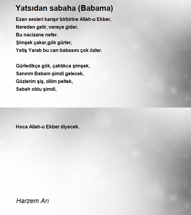 Harzem Arı