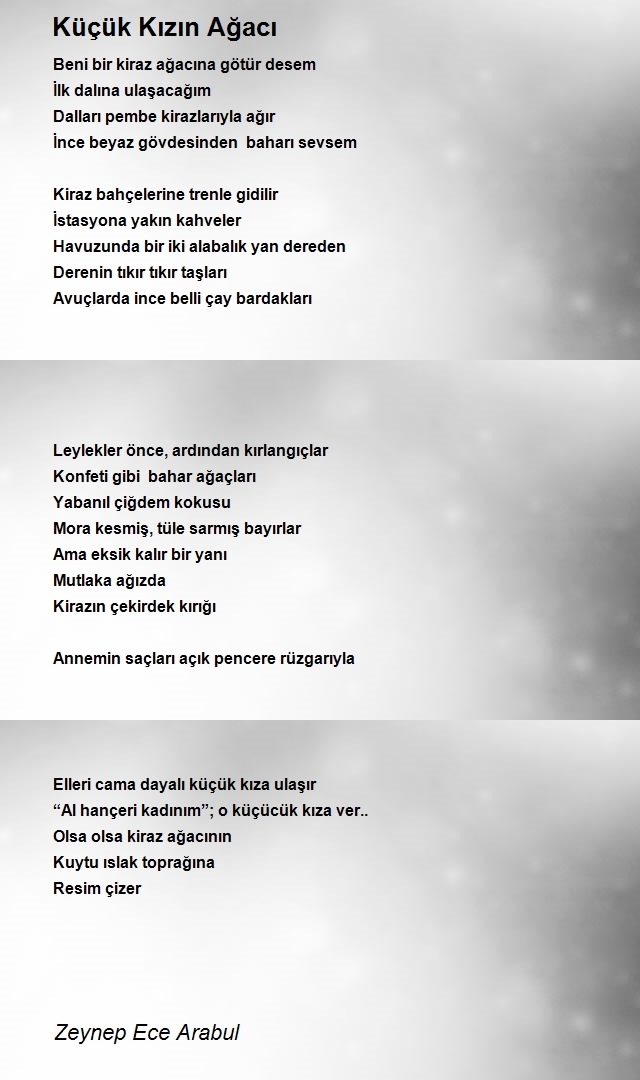 Zeynep Ece Arabul