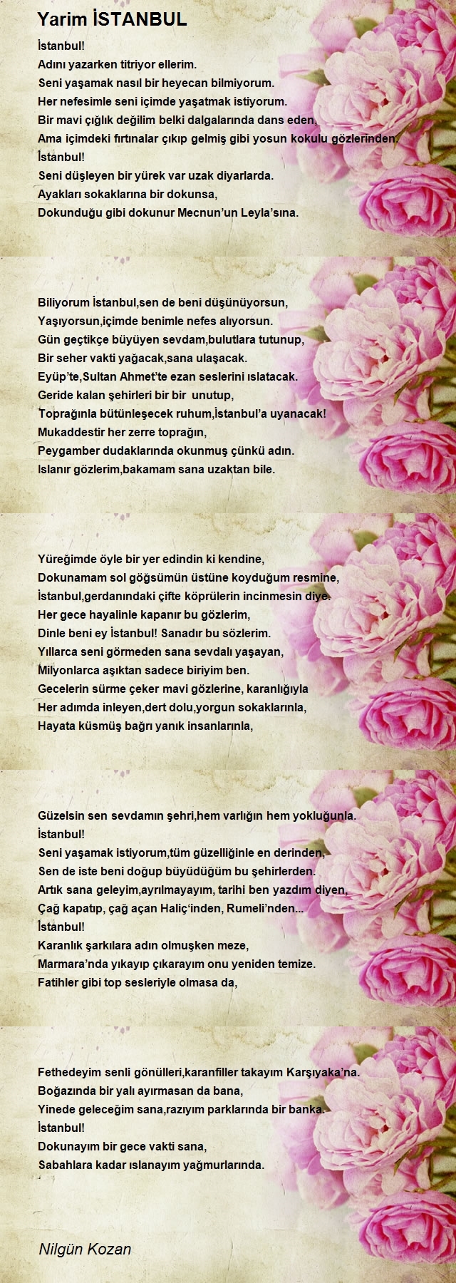 Nilgün Kozan