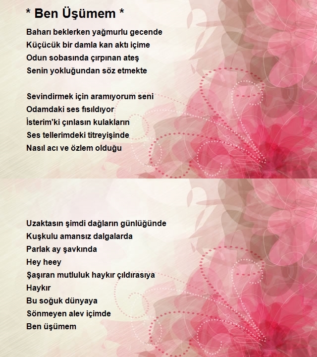Hamza İnce