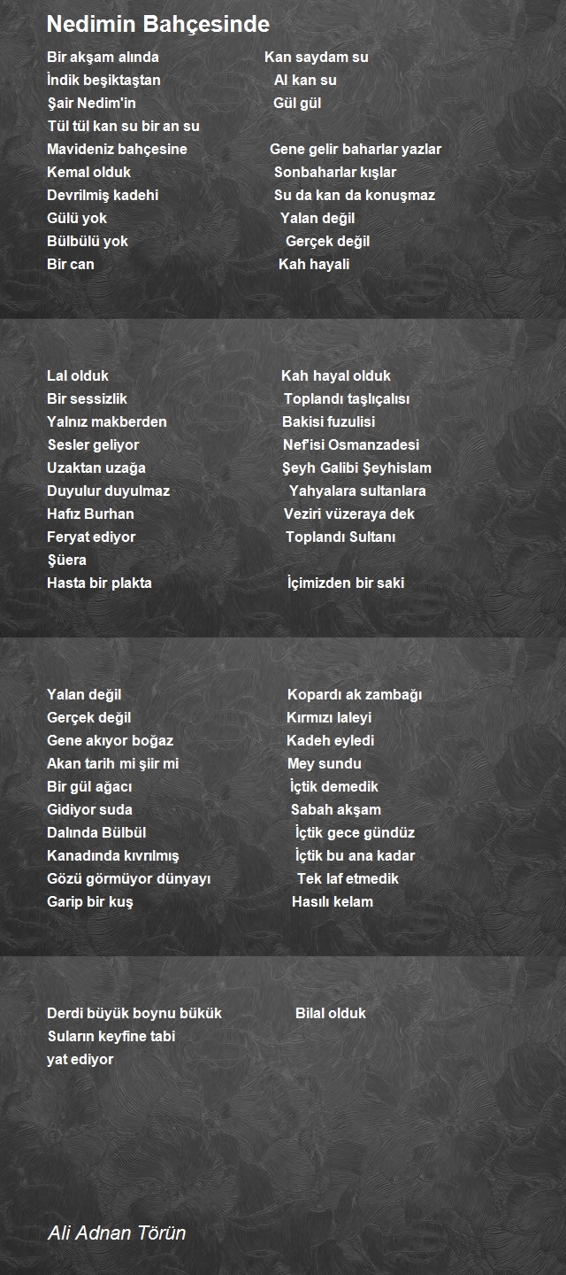 Ali Adnan Törün