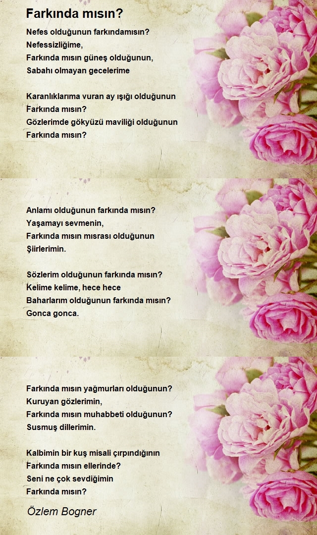 Özlem Bogner