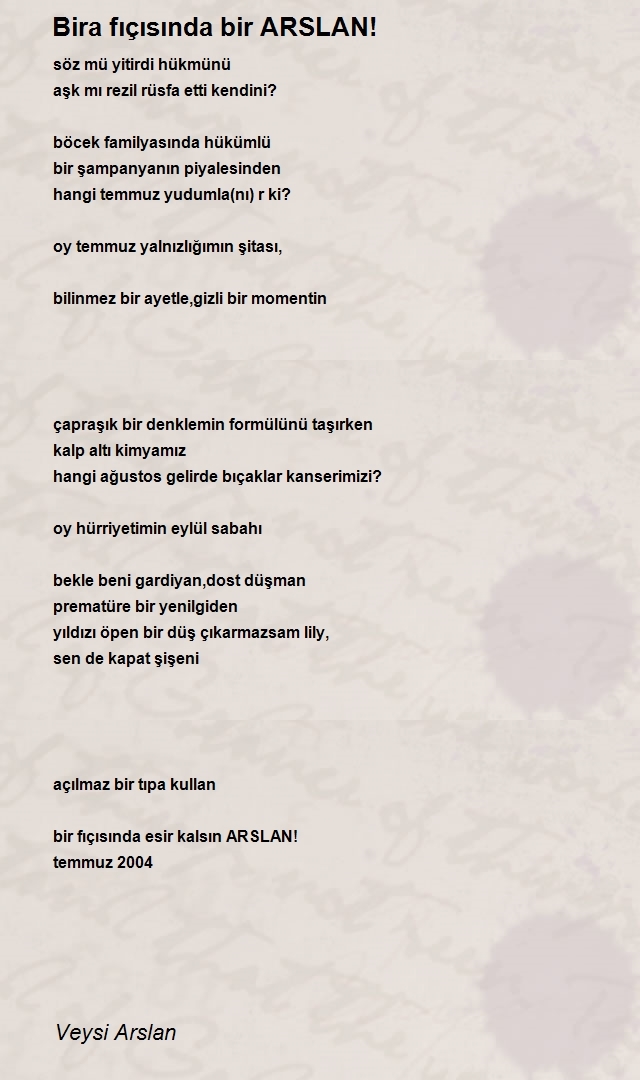 Veysi Arslan