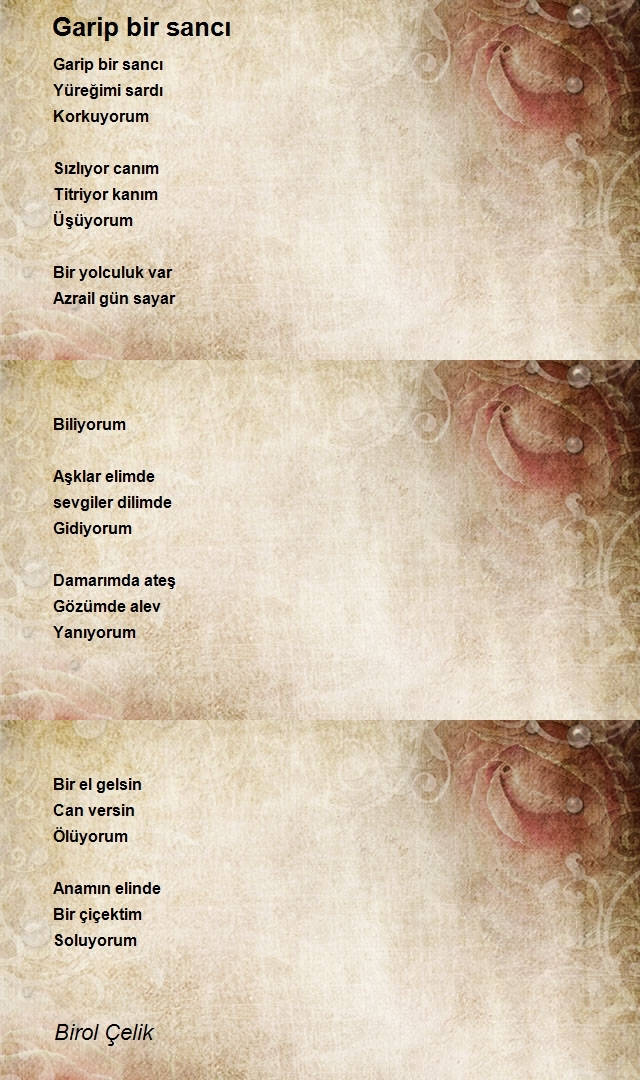 Birol Çelik