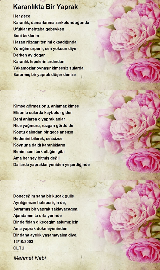 Mehmet Nabi