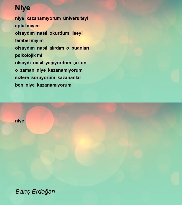 Barış Erdoğan