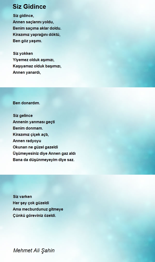 Mehmet Ali Şahin
