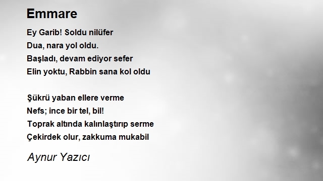 Aynur Yazıcı