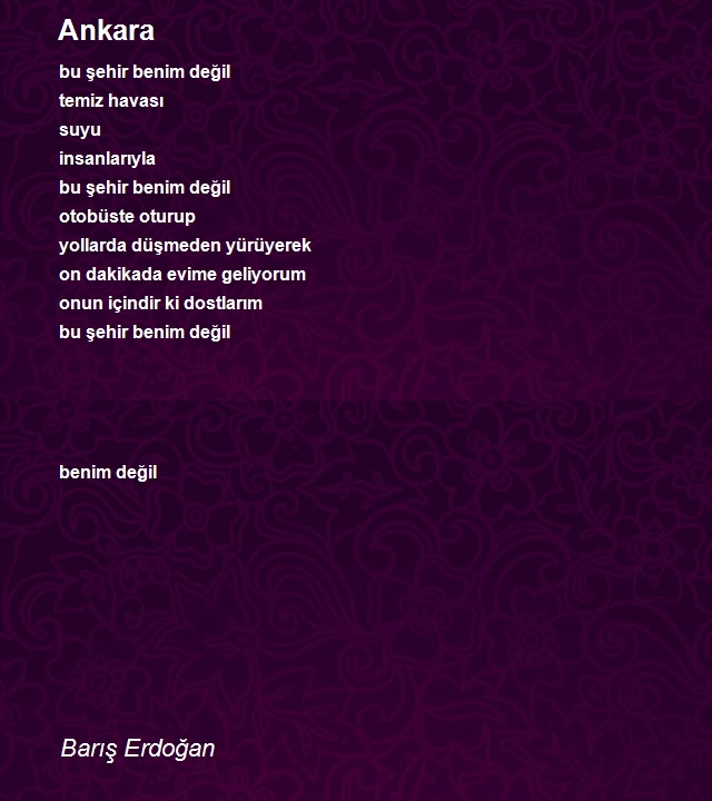 Barış Erdoğan