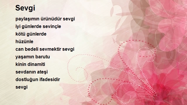 Barış Erdoğan
