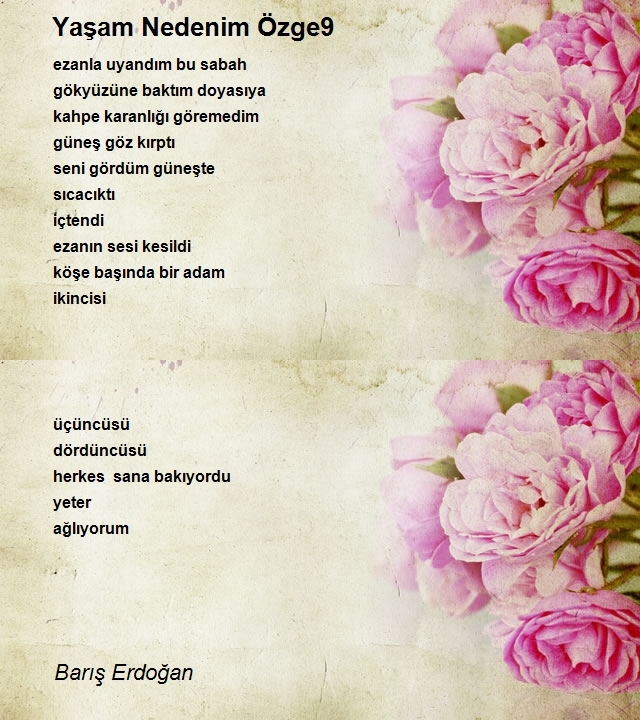Barış Erdoğan