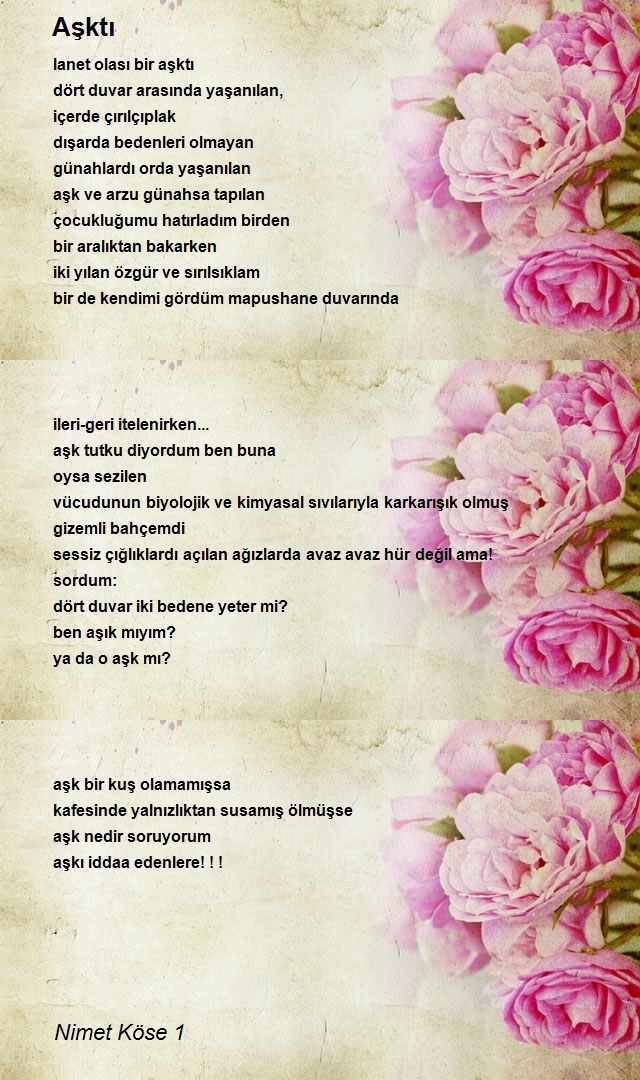 Nimet Köse 1