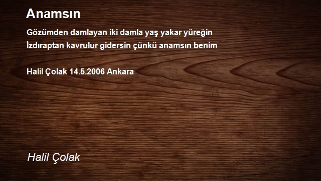 Halil Çolak