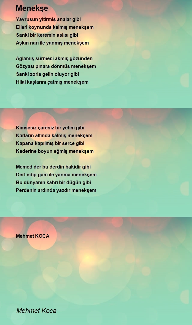 Mehmet Koca