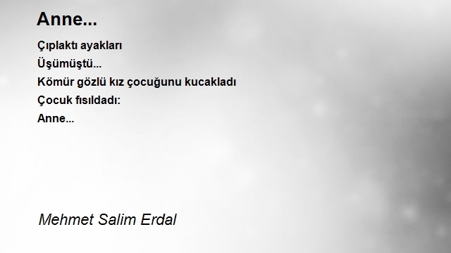Mehmet Salim Erdal