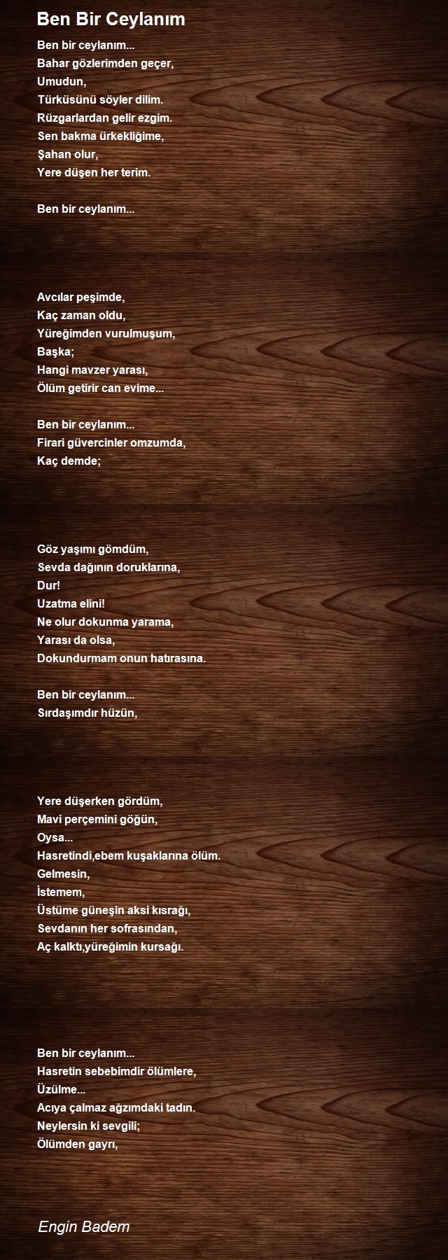 Engin Badem