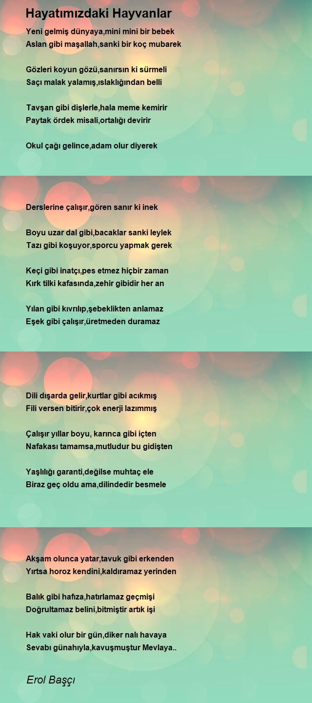 Erol Başçı