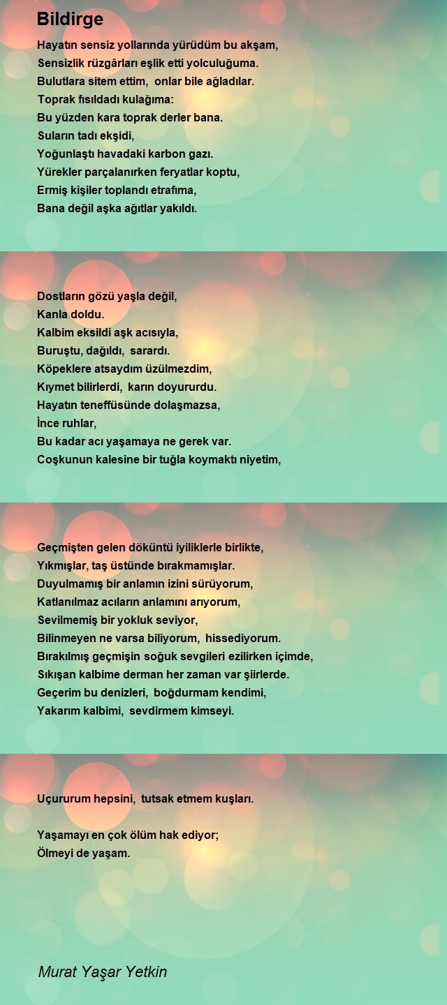 Murat Yaşar Yetkin