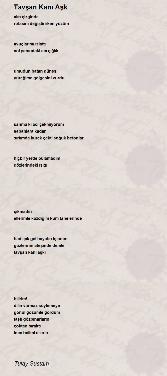 Tülay Sustam