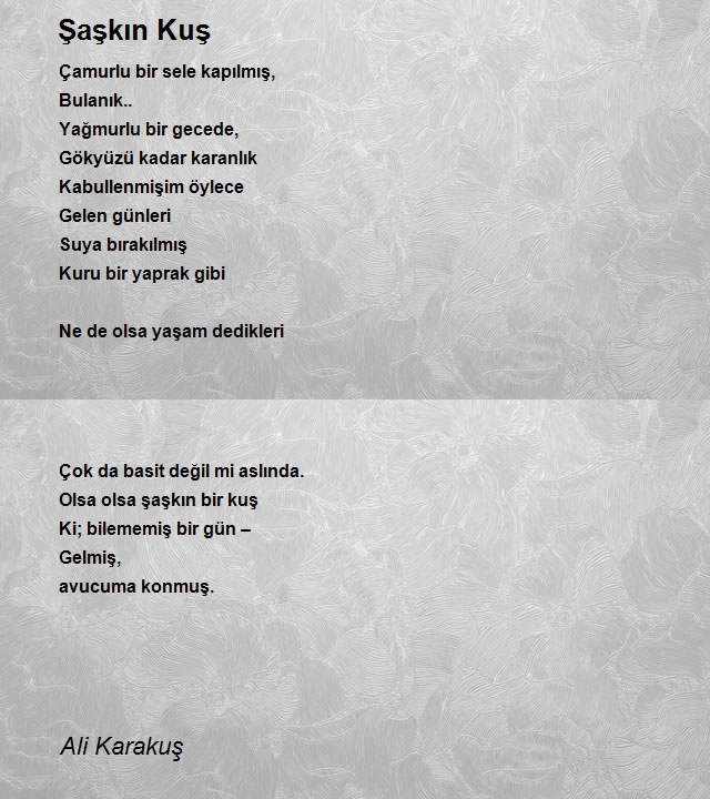 Ali Karakuş