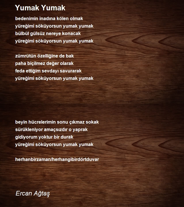 Ercan Ağtaş