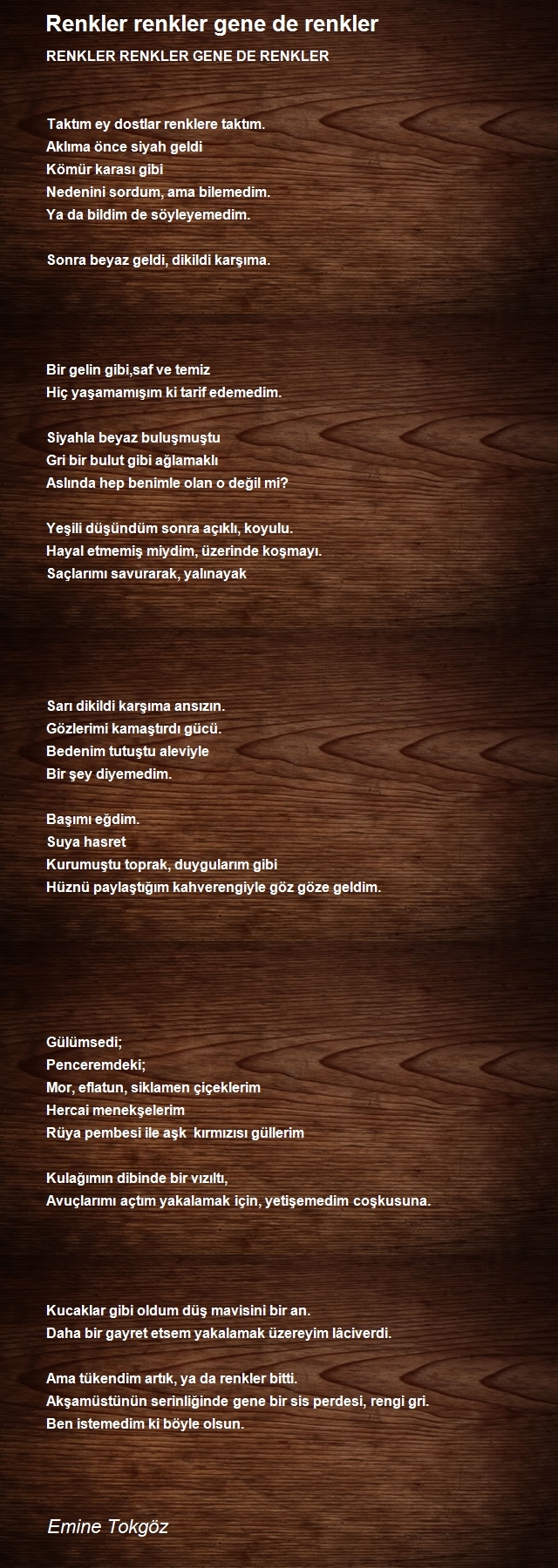 Emine Tokgöz