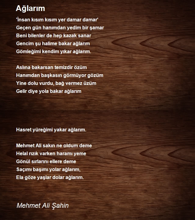 Mehmet Ali Şahin