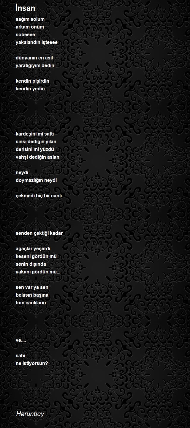 Şair Harunbey