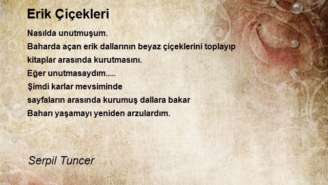 Serpil Tuncer