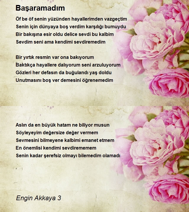 Engin Akkaya 3