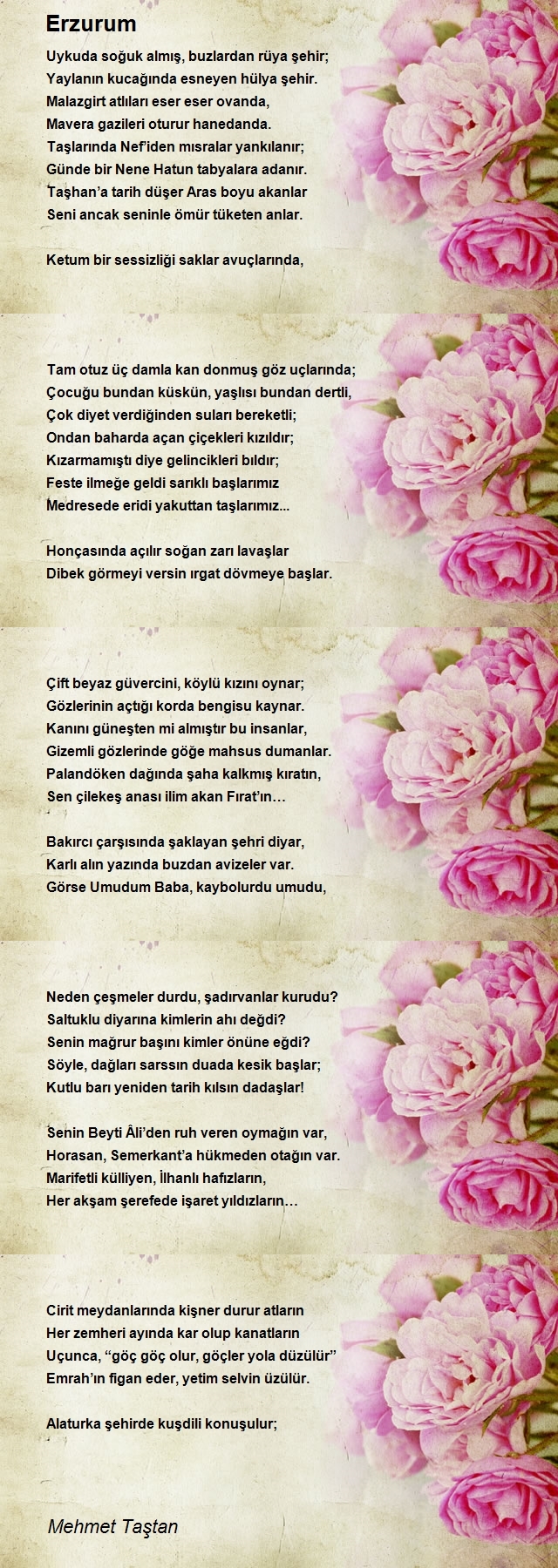 Mehmet Taştan