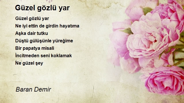 Baran Demir
