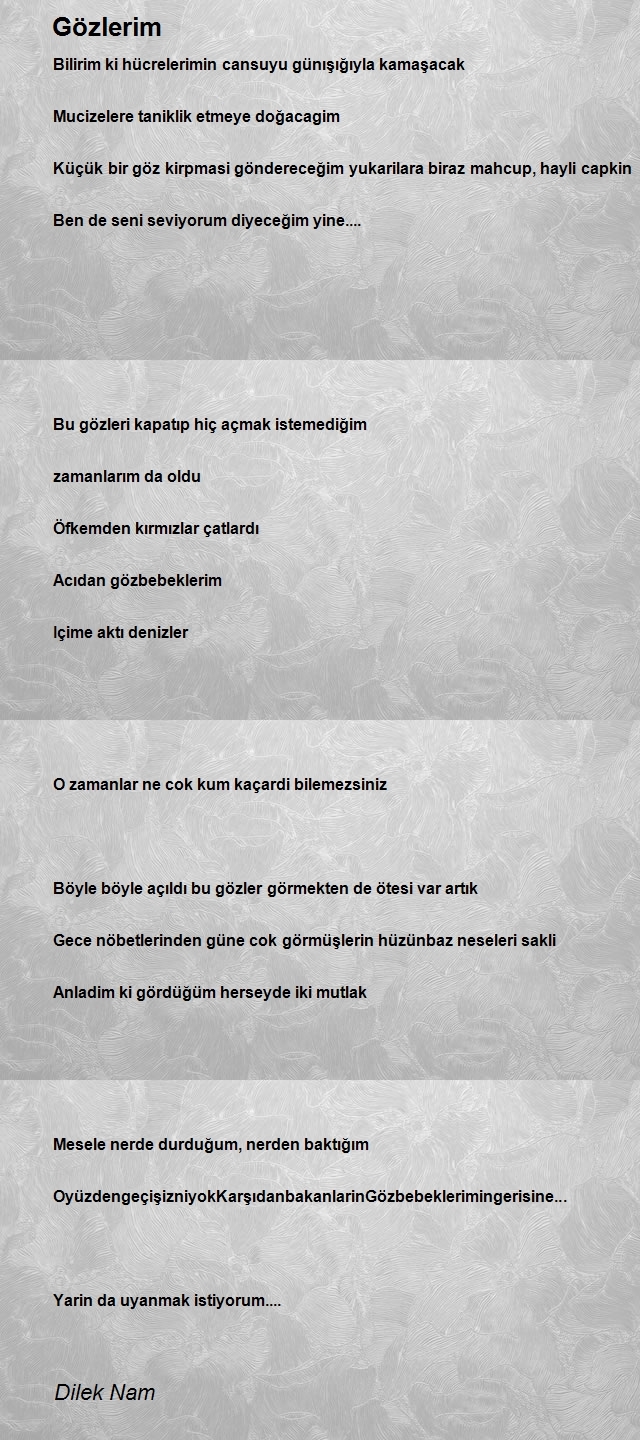 Dilek Nam