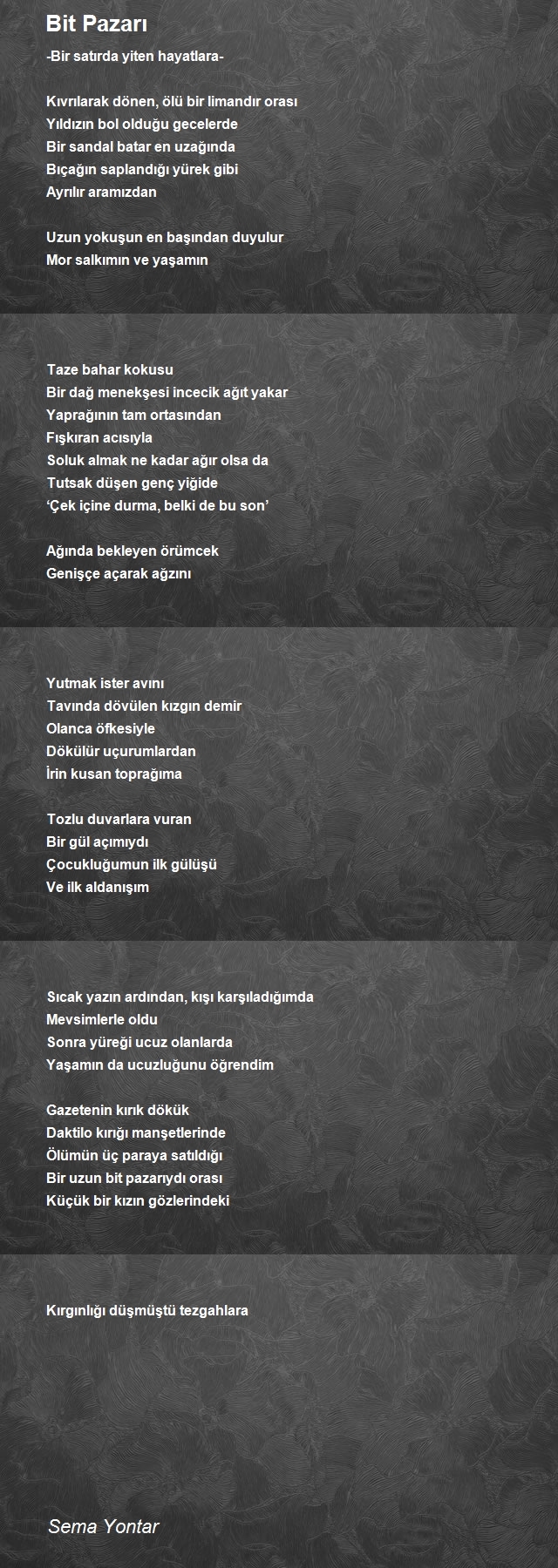 Sema Yontar