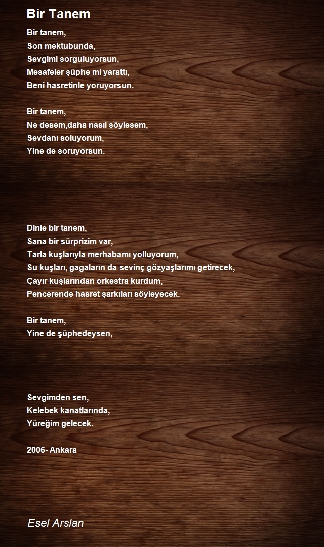 Esel Arslan