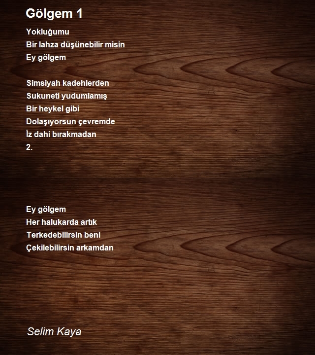 Selim Kaya