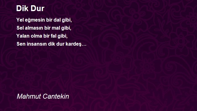Mahmut Cantekin
