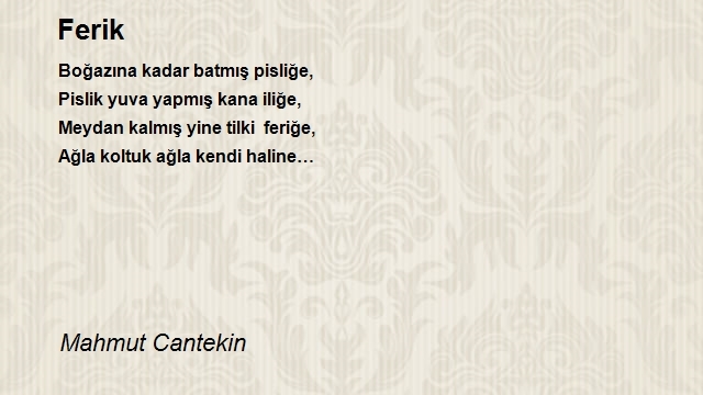 Mahmut Cantekin