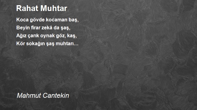 Mahmut Cantekin