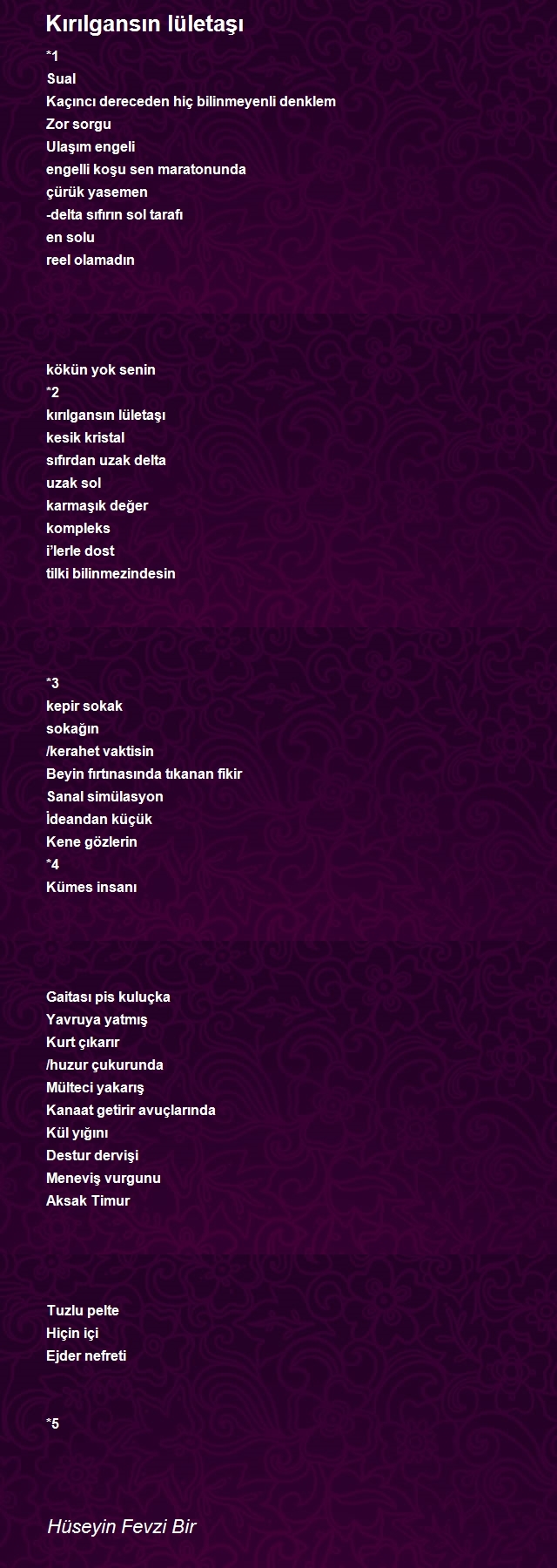 Hüseyin Fevzi Bir
