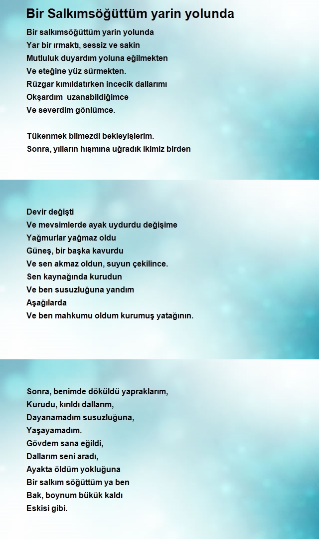 Kemal Eyüpoğlu
