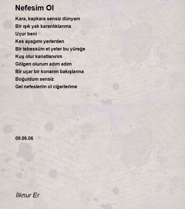 İlknur Er