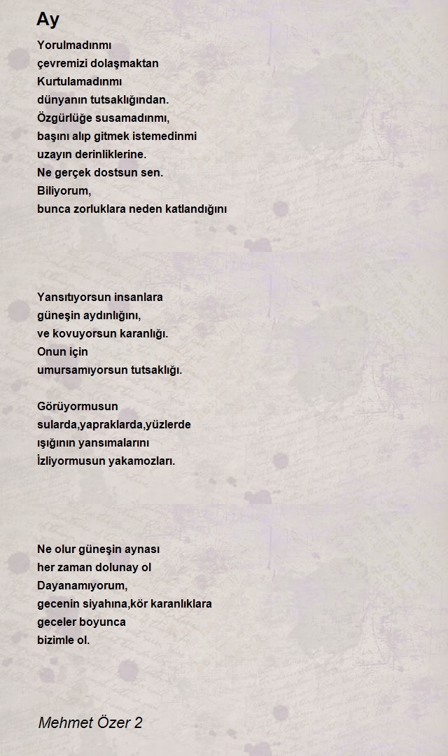 Mehmet Özer 2