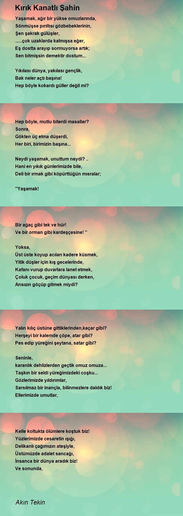 Akın Tekin