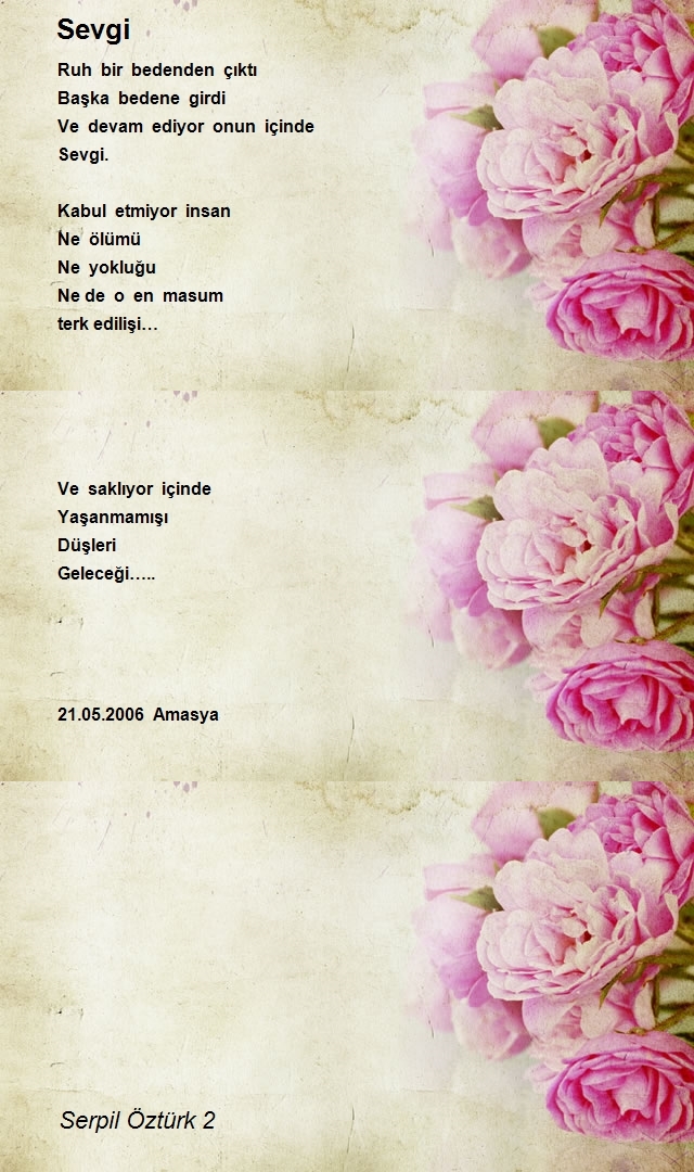 Serpil Öztürk 2