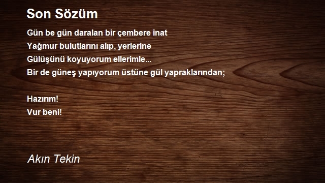 Akın Tekin