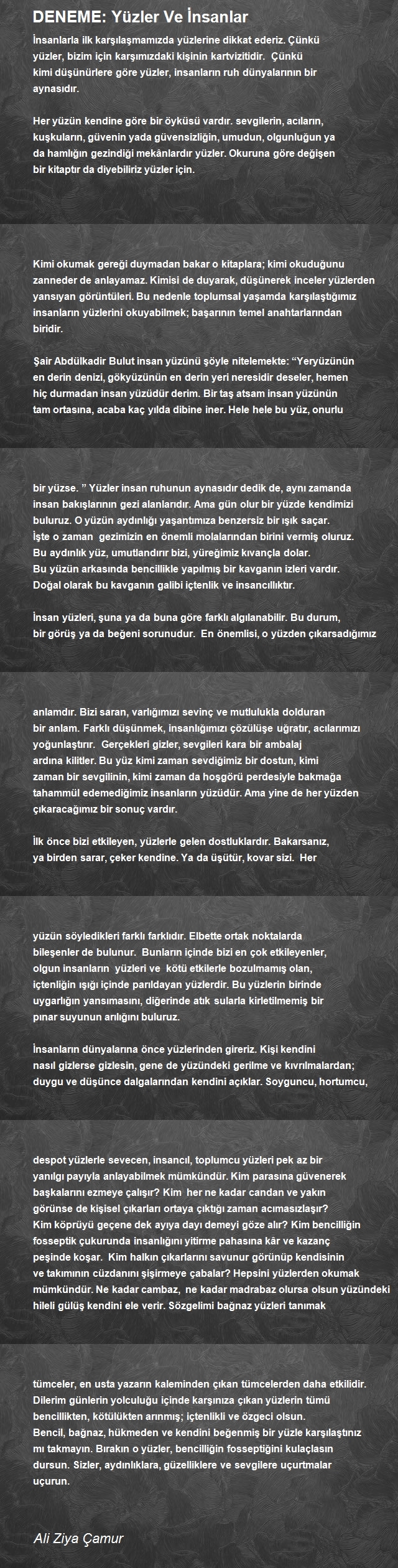Ali Ziya Çamur