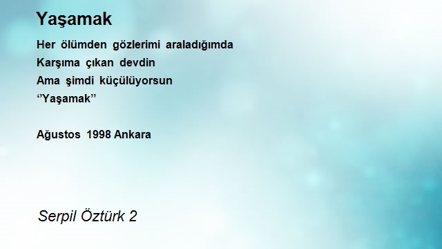 Serpil Öztürk 2