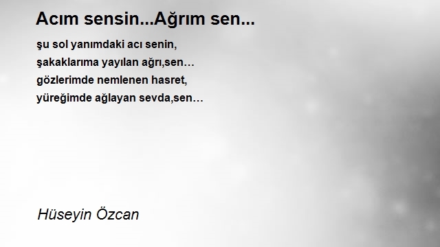 Hüseyin Özcan