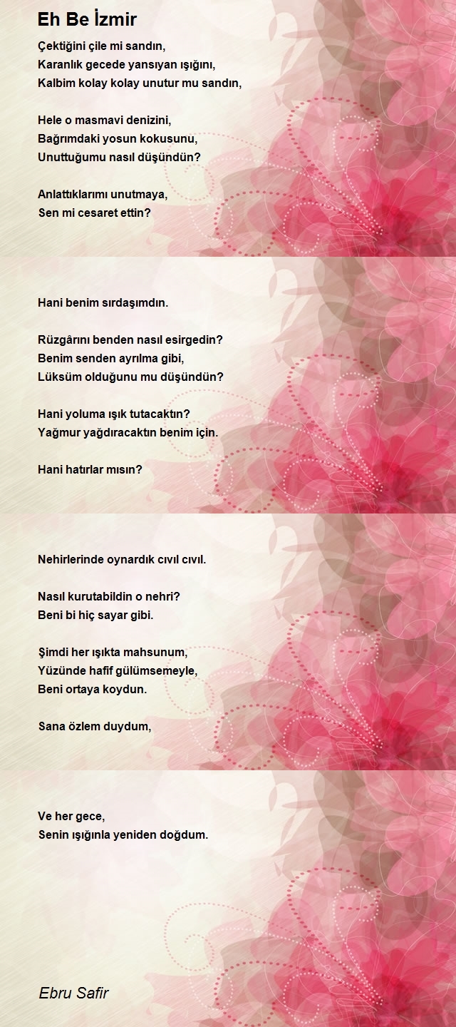 Ebru Safir